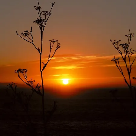Отель Sardi Помонте