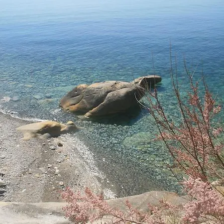 فندق Sardi 3*